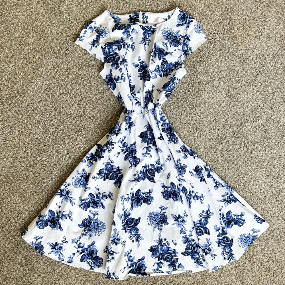 Floral Blue and White Dress